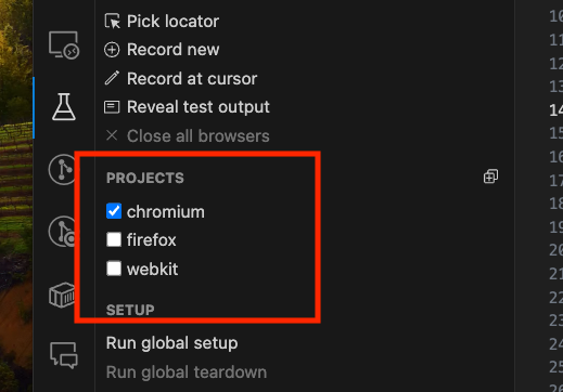 Chromiumのみ選択された状態